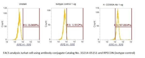 Human CD300A (CLM-8) AssayLite Antibody (RPE Conjugate)
