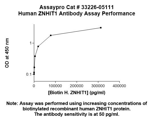 Human ZNHIT1 Antibody