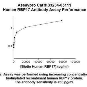 Human RNA Polymerases I, II, III Subunit ABC3  (RPB17) Antibody