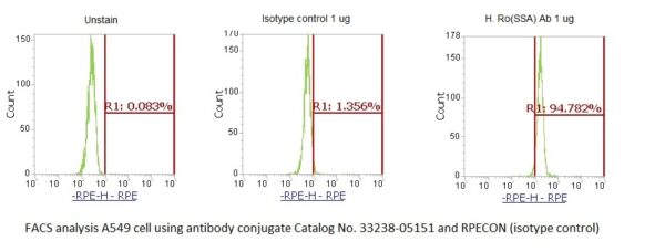 Ro(SSA) AssayLite Antibody (RPE Conjugate)