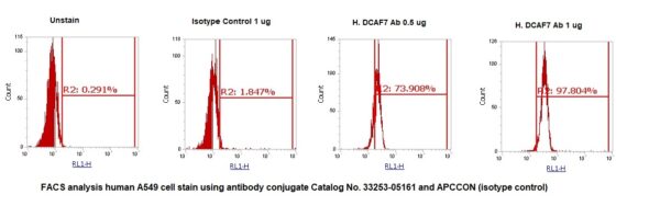 Human WDR68 AssayLite Antibody (APC Conjugate) - Image 2