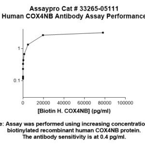 Human COX4NB Antibody