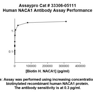 Human NACA1 Antibody (Biotin Conjugate)
