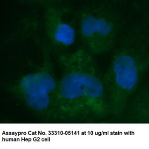 Human UBE2H AssayLite Antibody (FITC Conjugate)