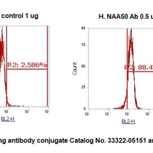 Human NAT13 AssayLite Antibody (RPE Conjugate)