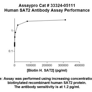Human SAT2 Antibody