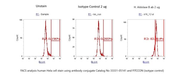 Human Aldolase B AssayLite Antibody (FITC Conjugate)