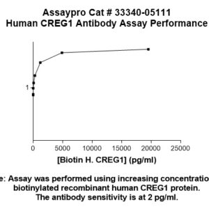 Human CREG1 Antibody