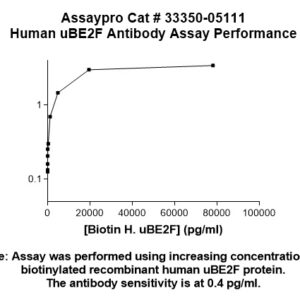 Human NCE2 Antibody