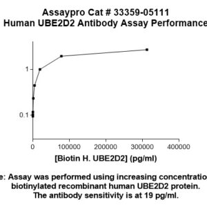 Human UBE2D2 Antibody (Biotin Conjugate)