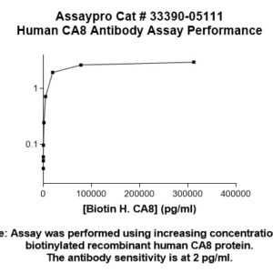 Human Carbonic Anhydrase 8 (CA8) Antibody