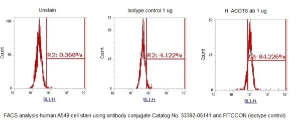 Human Acyl-coenzyme A Thioesterase 8 AssayLite Antibody (FITC Conjugate)