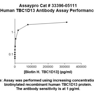 Human TBC1D13 Antibody (Biotin Conjugate)