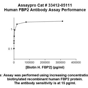 Human FBP2 Antibody
