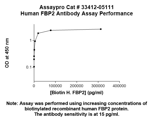 Human FBP2 Antibody (Biotin Conjugate)