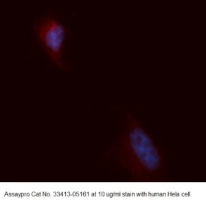 Human MED20 AssayLite Antibody (APC Conjugate)