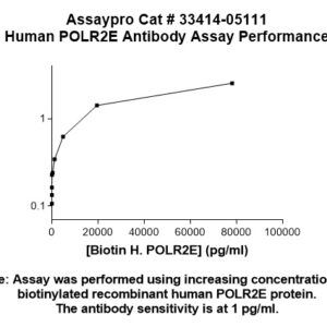 Human POLR2E Antibody