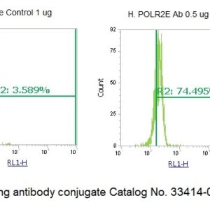 Human POLR2E AssayLite Antibody (APC Conjugate)