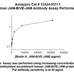 Human Junctional Adhesion Molecule 2/JAM-B Antibody
