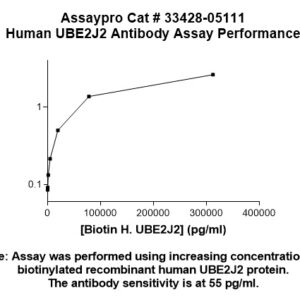 Human UBE2J2 Antibody (Biotin Conjugate)