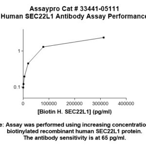 Human SEC22L1 Antibody