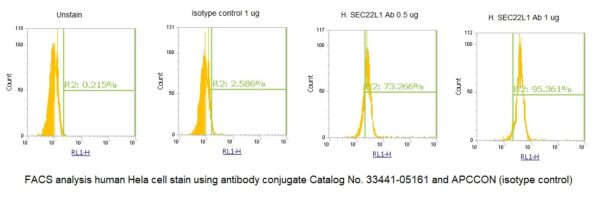 Human SEC22L1 AssayLite Antibody (APC Conjugate) - Image 2