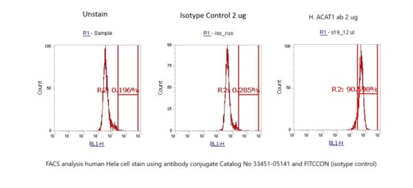 Human ACAT1 AssayLite Antibody (FITC Conjugate)