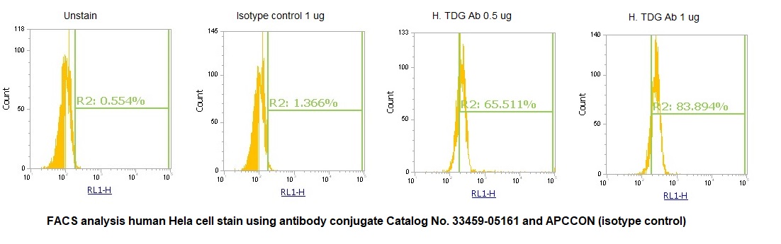 Human TDG AssayLite Antibody (APC Conjugate)