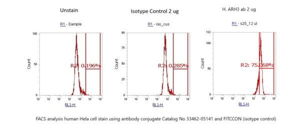 Human ARH3 AssayLite Antibody (FITC Conjugate)