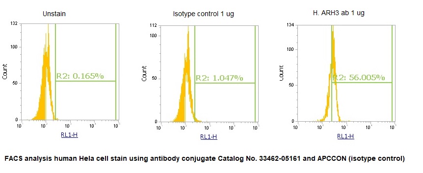 Human ARH3 Antibody (APC Conjugate)