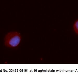 Human MitoNEET AssayLite Antibody (APC Conjugate)
