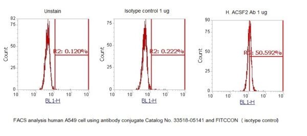 Human Acyl-CoA Synthetase Family Member 2 (ACSF2) AssayLite Antibody (FITC Conjugate) - Image 2