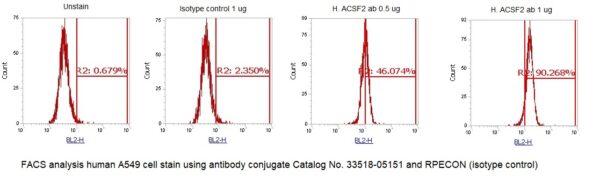 Human Acyl-CoA Synthetase Family Member 2 (ACSF2) AssayLite Antibody (RPE Conjugate) - Image 2
