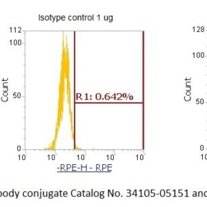 Human Immunoglobulin G1-Fc (IgG1-Fc) AssayLite Antibody (RPE Conjugate)