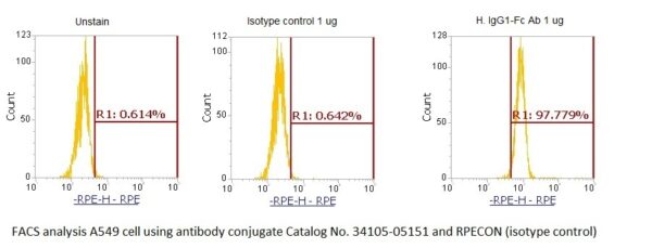 Human Immunoglobulin G1-Fc (IgG1-Fc) AssayLite Antibody (RPE Conjugate)