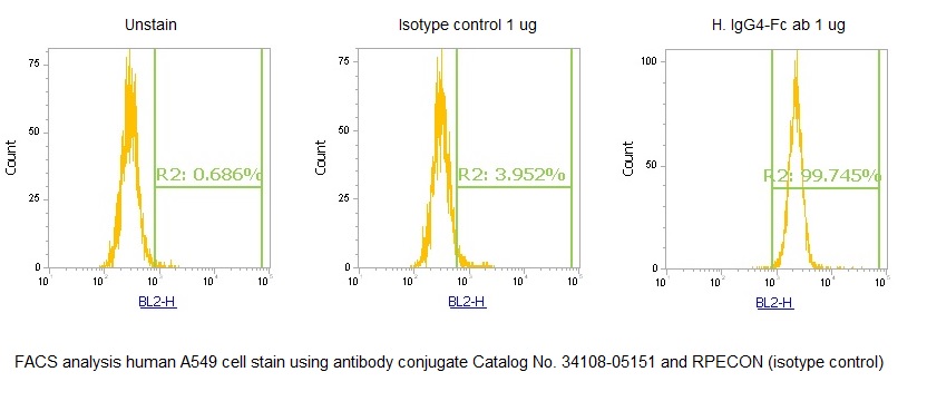 Human Immunoglobulin G4-Fc (IgG4-Fc) AssayLite Antibody (RPE Conjugate)