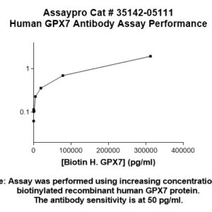 Human Glutathione Peroxidase 7 (GPX7) Antibody
