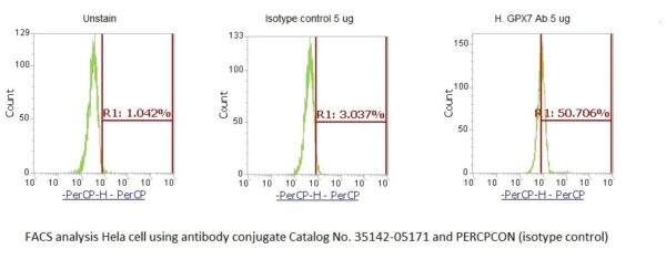 Human Glutathione Peroxidase 7 (GPX7) AssayLite Antibody (PerCP Conjugate)