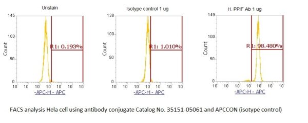 Human Cyclophilin F (PPIF) AssayLite Antibody (APC Conjugate)