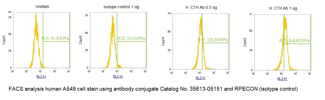 Human Cystathionase AssayLite Antibody (RPE Conjugate) - Image 2