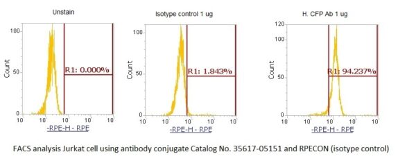 Human Complement Factor P (CFP) AssayLite Antibody (RPE Conjugate) - Image 2