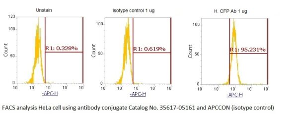 Human Complement Factor P (CFP) AssayLite Antibody (APC Conjugate) - Image 2