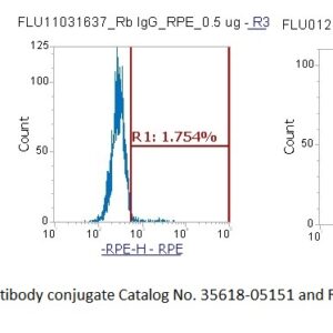Human Cathepsin F (CTSF) AssayLite Antibody (RPE Conjugate)