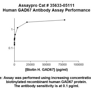 Human GAD67 Antibody