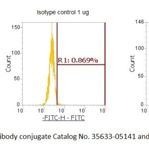 Human GAD67 AssayLite Antibody (FITC Conjugate)