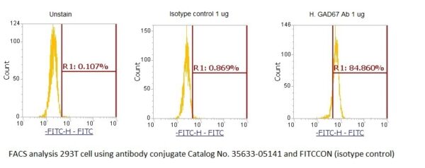 Human GAD67 AssayLite Antibody (FITC Conjugate)