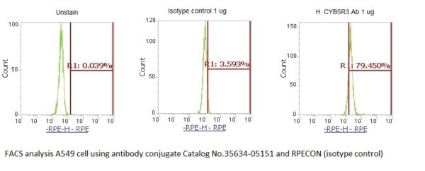 Human CYB5R3 AssayLite Antibody (RPE Conjugate) - Image 2