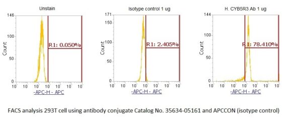Human CYB5R3 AssayLite Antibody (APC Conjugate) - Image 2