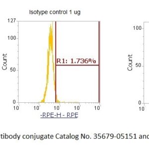 Human EEF1A1 AssayLite Antibody (RPE Conjugate)