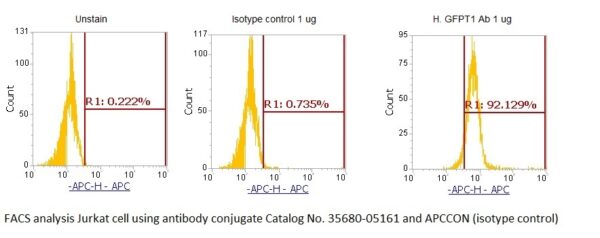 Human GFPT1 AssayLite Antibody (APC Conjugate)